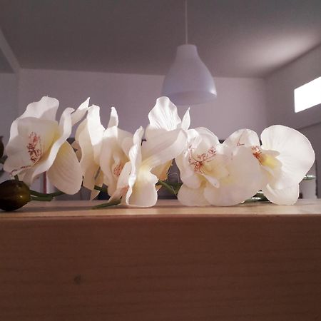 Sadinahome Setubal Luaran gambar